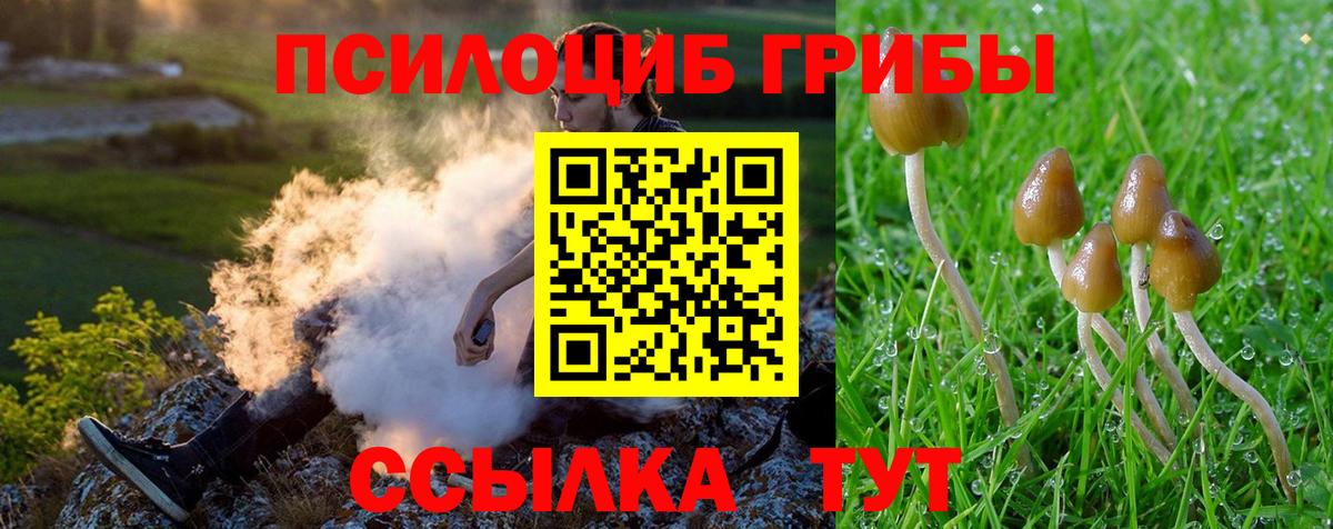 Галлюциногенные грибы Magic Shrooms  Вход с VPN  Тольятти 